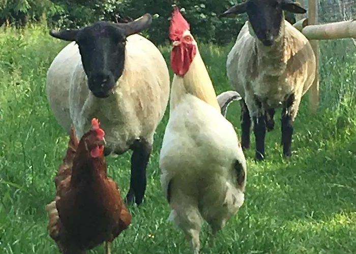 Il Etait Autrefois Bed & Breakfast *